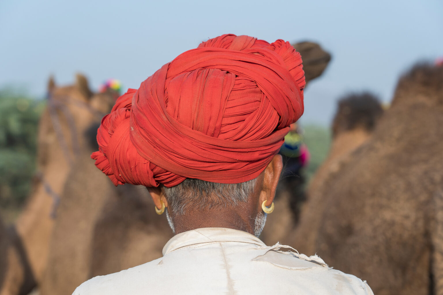 Man wearing a traditional red turban at the Pushkar Camel Fair in Rajasthan, India Title